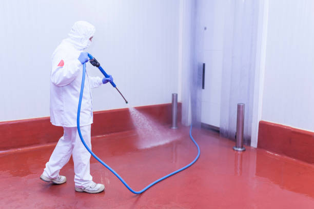 Reliable Rock Hall, MD Pressure Washing Solutions